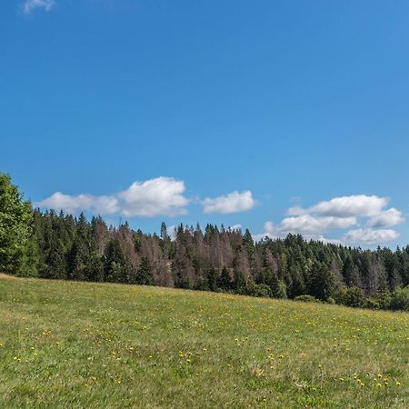 Apartmán Haus Isele Urberg Exteriér fotografie